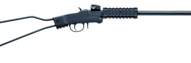 Armi Chiappa Little Badger .22LR