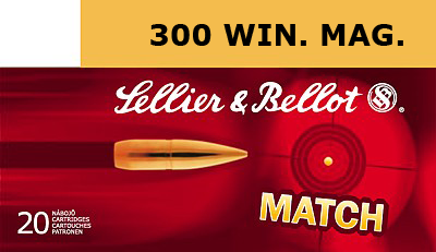 300 Winchester Magnum